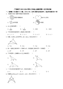 广西南宁2023-2024学年八年级上册数学第一次月考试卷