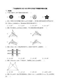 广东省梅州市2022-2023学年七年级下学期数学期末试题