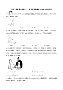 北师大版数学八年级（上）复习微专题精炼3 勾股定理的应用