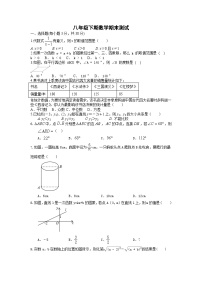 人教版数学8年级下册 期末测试卷2