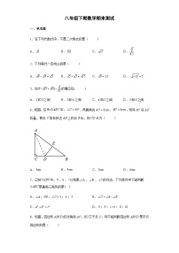 人教版数学8年级下册 期末课时练4