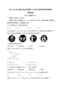 2023-2024学年湖北省武汉市黄陂区八年级上学期期中数学质量检测模拟试题（含解析）