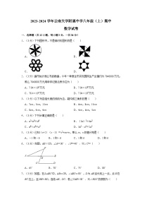 云南省云南师大附中呈贡校区2023-2024学年八年级上学期期中数学试卷