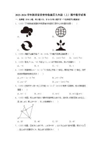 陕西省西安市临潼区2023—2024学年上学期九年级期中数学试卷