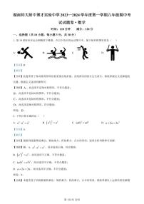 湖南省长沙市岳麓区湖南师大附中博才实验中学2023-2024学年八年级上学期期中数学试题（解析版）