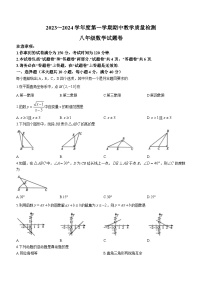 安徽省滁州市天长市铜城片2023~2024学年八年级上学期期中数学试题