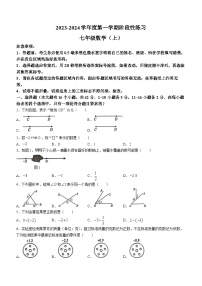 河北省石家庄市第八十一中学2023-2024学年七年级上学期期中数学试题