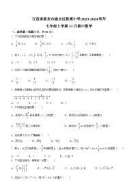 江西省新余市渝水区新溪中学2023-2024学年七年级上学期期中数学试题