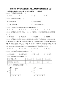 2023-2024学年北师大版数学八年级上学期期中仿真模拟试卷（三）