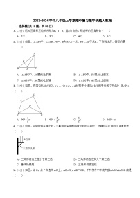 2023-2024学年八年级上学期期中复习数学试题人教版