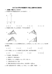 2023~2024学年沪科版数学八年级上册期中测试卷