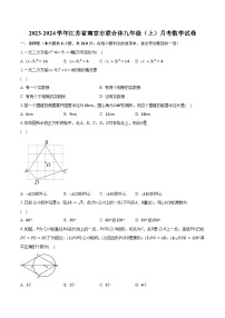 2023-2024学年江苏省南京市联合体九年级（上）月考数学试卷（含解析）