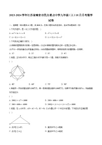 2023-2024学年江苏省南京市民办重点中学九年级（上）10月月考数学试卷（含解析）