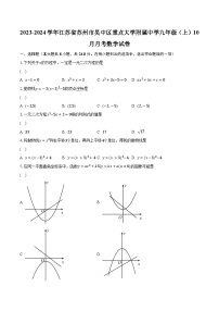 2023-2024学年江苏省苏州市吴中区重点大学附属中学九年级（上）10月月考数学试卷（含解析）