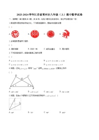 2023-2024学年江苏省常州市八年级（上）期中数学试卷（含解析）