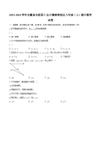 2023-2024学年安徽省合肥四十五中橡树湾校区八年级（上）期中数学试卷（含解析）