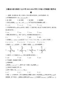 安徽省合肥市第四十五中学2023-2024学年八年级上学期期中数学试题（含解析）