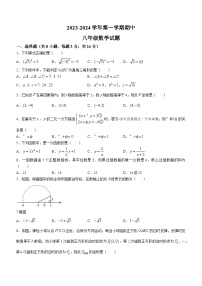 陕西省 学校 西安市高新第二初级中学2023-2024学年八年级上学期期中数学试题