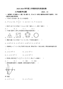 山东省临沂市郯城县2023-2024学年九年级上学期期中数学试题