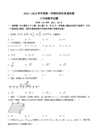 山东省菏泽市鄄城县2023-2024学年八年级上学期期中数学试题