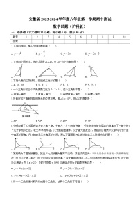 安徽省阜南县文勤学校2023-2024学年八年级上学期期中数学试题