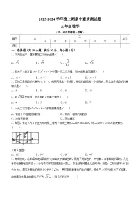 河南省驻马店市泌阳县2023-2024学年九年级上学期期中数学试题