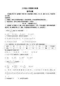 山东省泰安市新泰市2023-2024学年八年级上学期期中数学试题