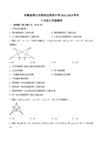 河南省淮阳中学2023-2024学年八年级上学期10月月考数学试卷(含解析)