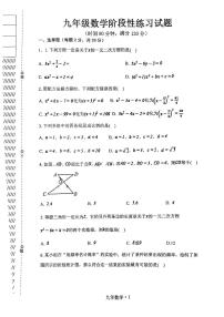 辽宁省铁岭地区2023-—2024学年九年级上学期11月期中数学试题