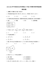 2023-2024学年河南省驻马店市驿城区八年级上学期期中数学质量检测模拟试题（含解析）