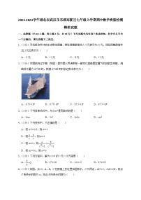 2023-2024学年湖北省武汉市东湖高新区七年级上学期期中数学质量检测模拟试题（含解析）