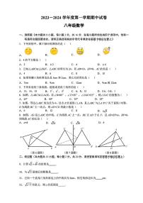 江苏省南京市金陵中学河西分校2023-2024学年八年级上学期期中数学试卷