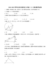 2022-2023学年北京市通州区九年级（上）期末数学试卷(含解析）