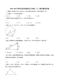 2022-2023学年北京市通州区九年级（上）期末数学试卷(含解析）