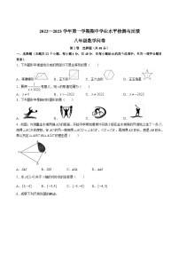 山东省聊城市阳谷县2022-2023学年八年级上学期期中学业水平检测与反馈数学试卷（答案不全）