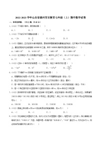 山东省德州市乐陵市2022-2023学年七年级上学期期中考试数学试卷（含解析）