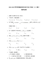河南省洛阳市洛宁县2022-2023学年八年级上学期期中考试数学试卷（含解析）