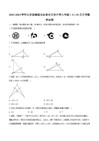 2023-2024学年江苏省南通市启东市百杏中学八年级（上）10月月考数学试卷（含解析）