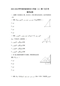 吉林省吉林市2023-2024学年八年级上学期第一次月考数学试卷(含解析)