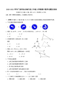 2020-2021学年广西河池市南丹县八年级上学期期中数学试题及答案