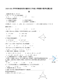 2020-2021学年河南省洛阳市偃师市八年级上学期期中数学试题及答案