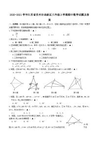 2020-2021学年江苏省苏州市高新区八年级上学期期中数学试题及答案