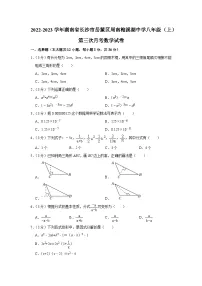 2022-2023学年湖南省长沙市岳麓区周南梅溪湖中学八年级（上）第三次月考数学试卷