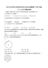 2023-2024学年江苏省苏州市吴江区吴江区盛泽第二中学九年级（上）10月月考数学试卷（含解析）