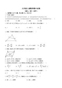 河南省驻马店市驿城区第二初级中学2023-2024学年九年级上学期期中数学试题