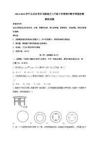 2023-2024学年山东省枣庄市薛城区九年级上册期中数学学情检测模拟试题（含答案）