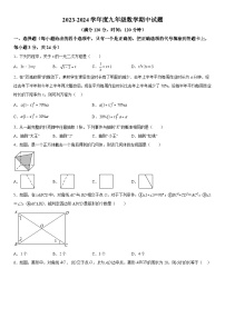 山东省菏泽市郓城县2023-2024学年九年级上学期期中数学试题（含解析）