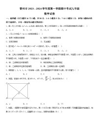 河北省石家庄市晋州市2023-2024学年九年级上学期期中数学试题（含解析）