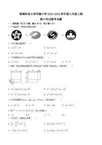 湖南省长沙市湖南师范大学附属中学2023-2024学年八年级上学期期中数学试题