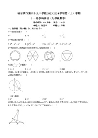 黑龙江省 哈尔滨市第六十九中学校2023-2024学年九年级上学期月考数学试题